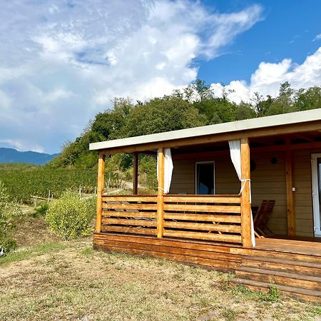 ホテル Saxida Wine Estate Zalošče エクステリア 写真